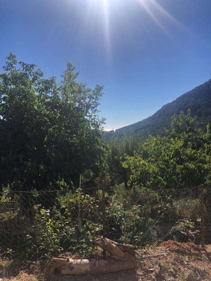U Vechju Fragnu Daire Vezzani Dış mekan fotoğraf