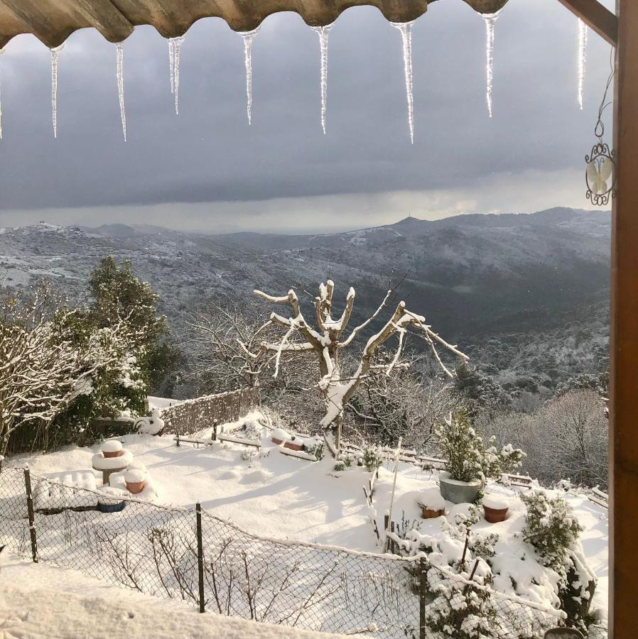 U Vechju Fragnu Daire Vezzani Dış mekan fotoğraf